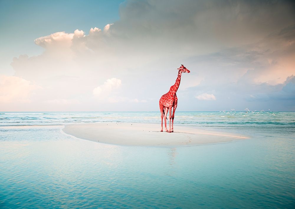 Oceanic Savannah art print by Arlo Wren Photos for $57.95 CAD
