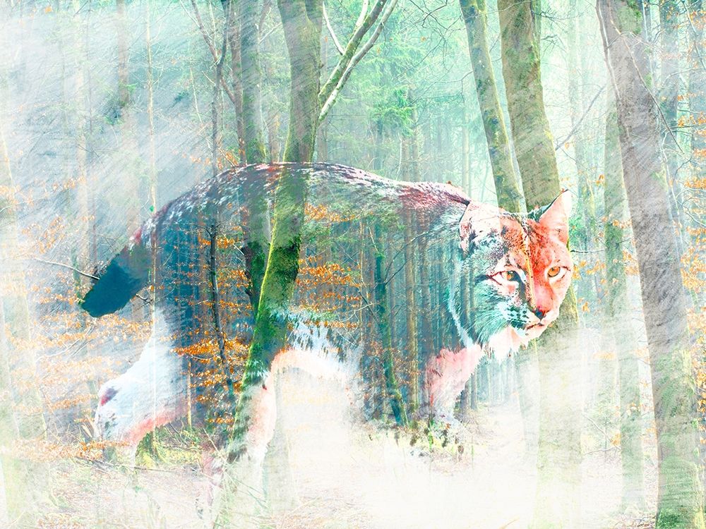 Silent Hunter art print by Arlo Wren Photos for $57.95 CAD
