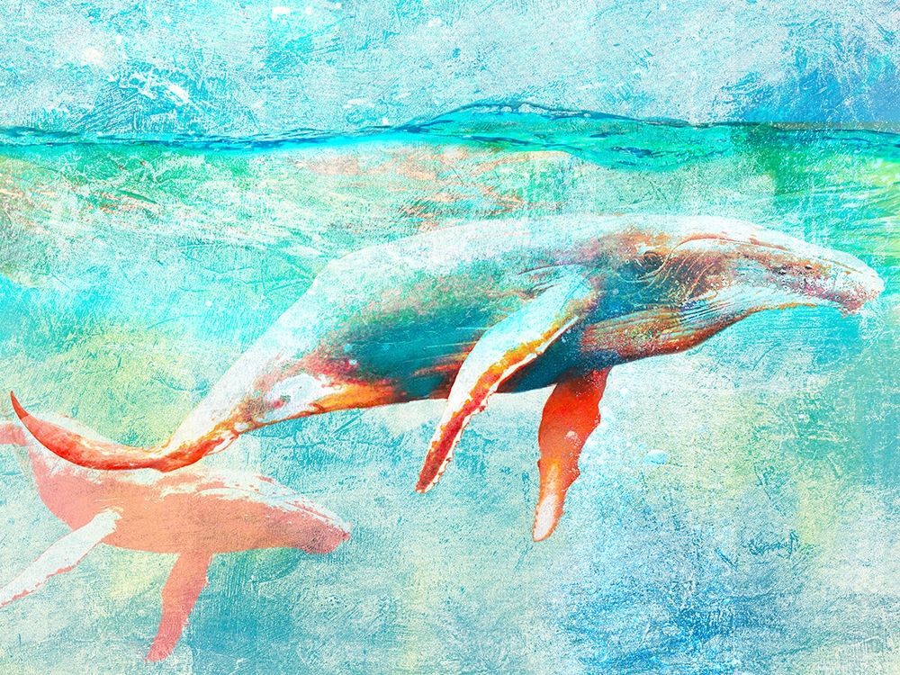 Seas of Serenity art print by Arlo Wren Photos for $57.95 CAD