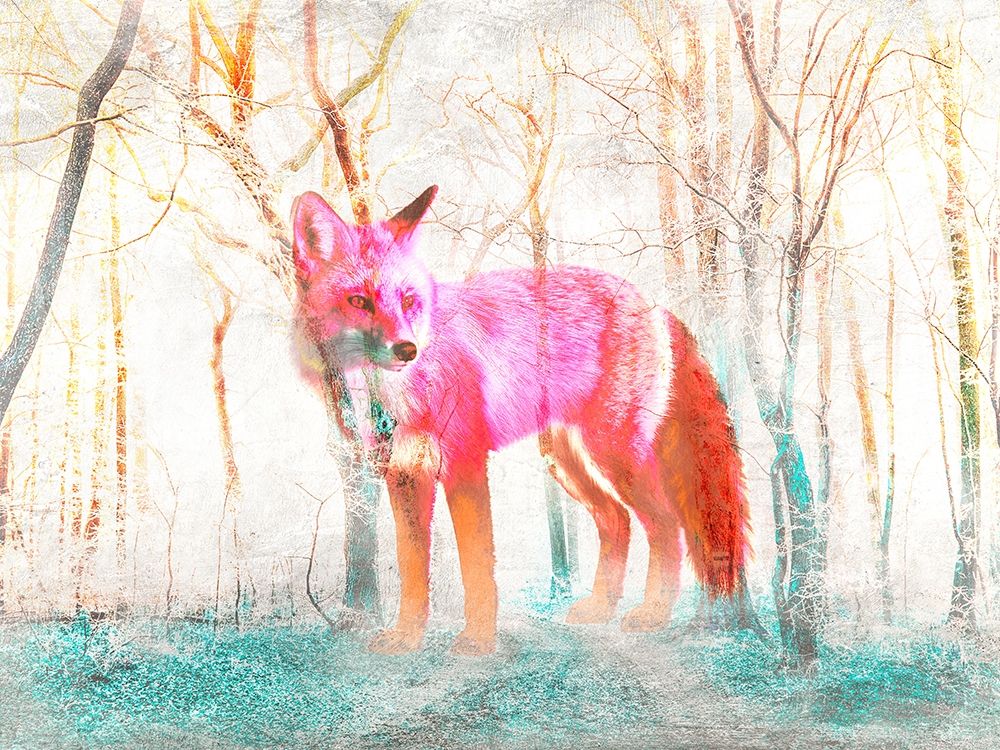 The Wilderness art print by Arlo Wren Photos for $57.95 CAD