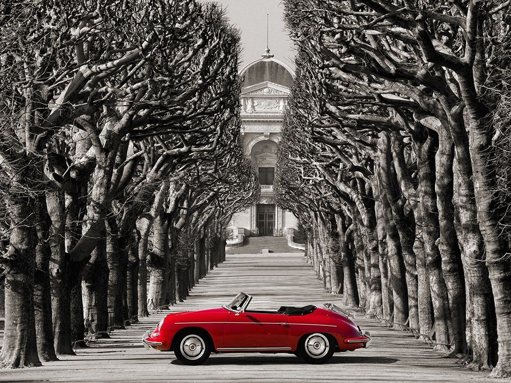 Roadster in tree lined road, Paris art print by Gasoline Images for $57.95 CAD