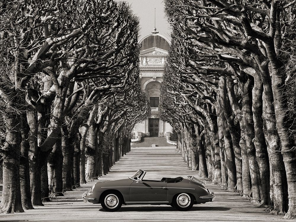Roadster in tree lined road, Paris (BW) art print by Gasoline Images for $57.95 CAD