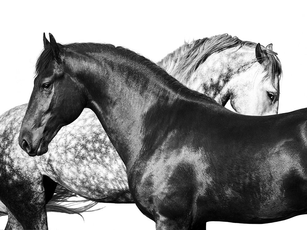 Lovers art print by Pangea Images for $57.95 CAD