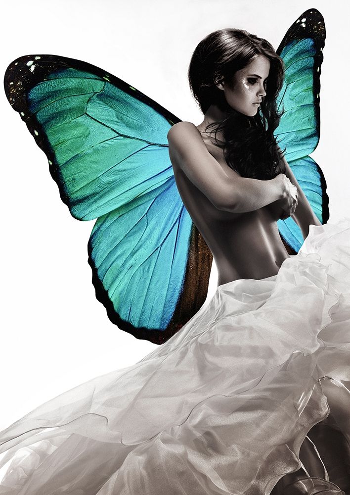 Winged Beauty -1 (detail) art print by Julian Lauren for $57.95 CAD