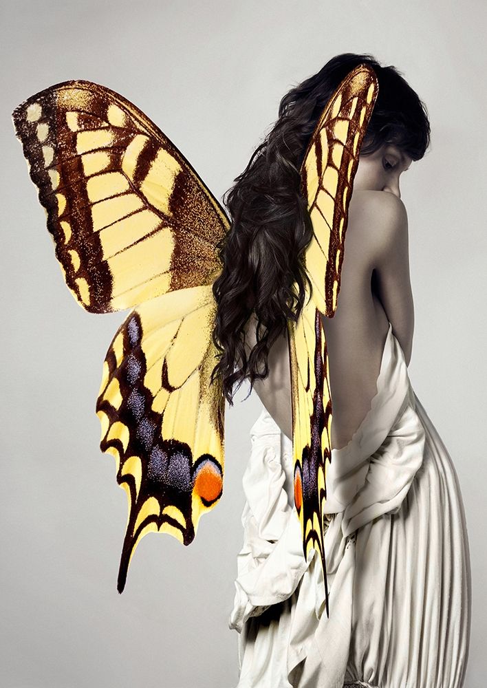 Winged Beauty -3 art print by Julian Lauren for $57.95 CAD