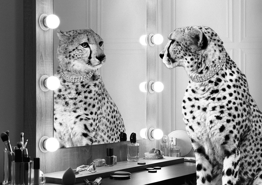Wild Beauty (BW) art print by Julian Lauren for $57.95 CAD