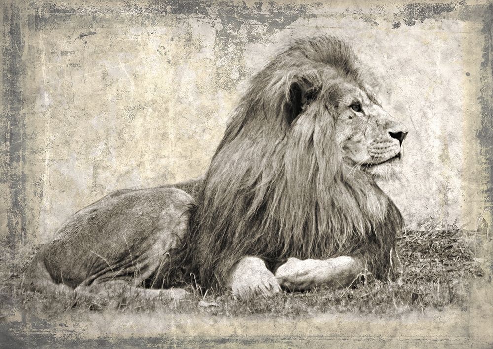 Memories of Africa I art print by Marc Moreau for $57.95 CAD