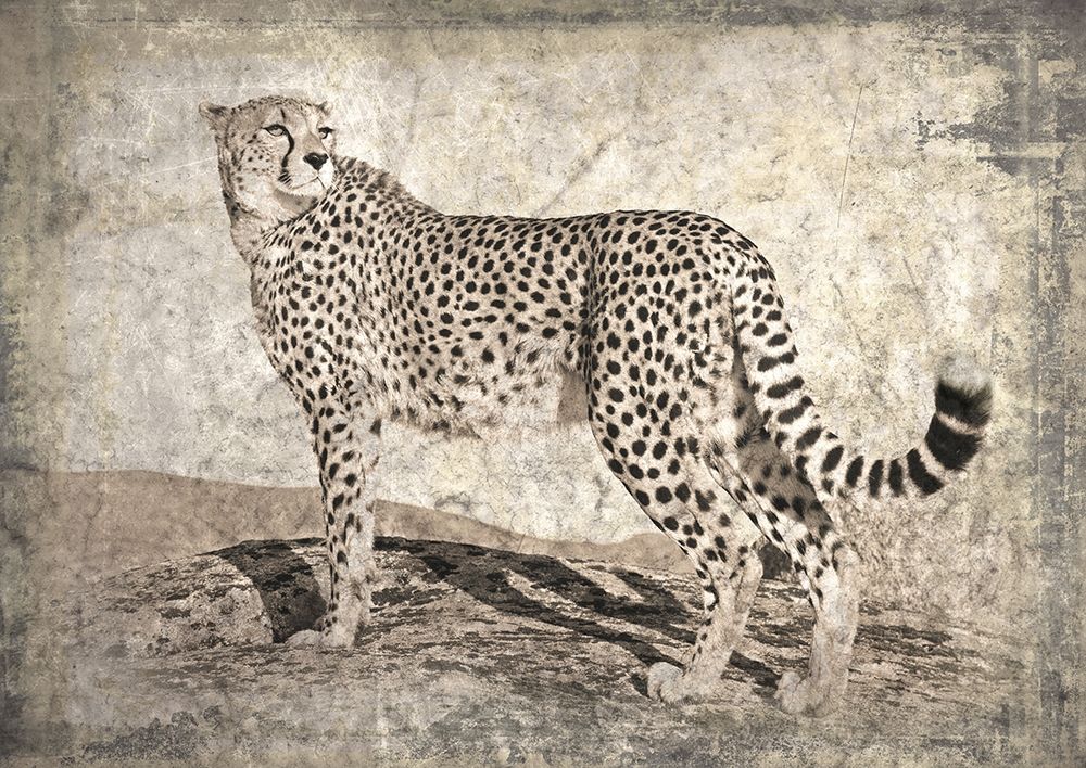 Memories of Africa II art print by Marc Moreau for $57.95 CAD