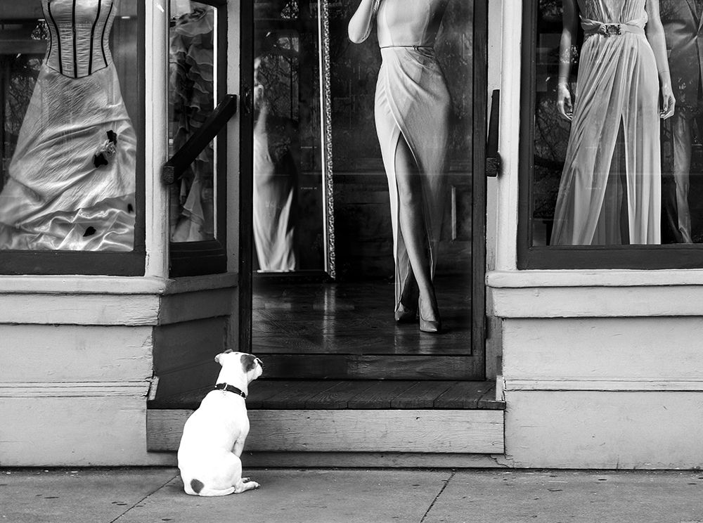 Waiting for Her art print by Julian Lauren for $57.95 CAD