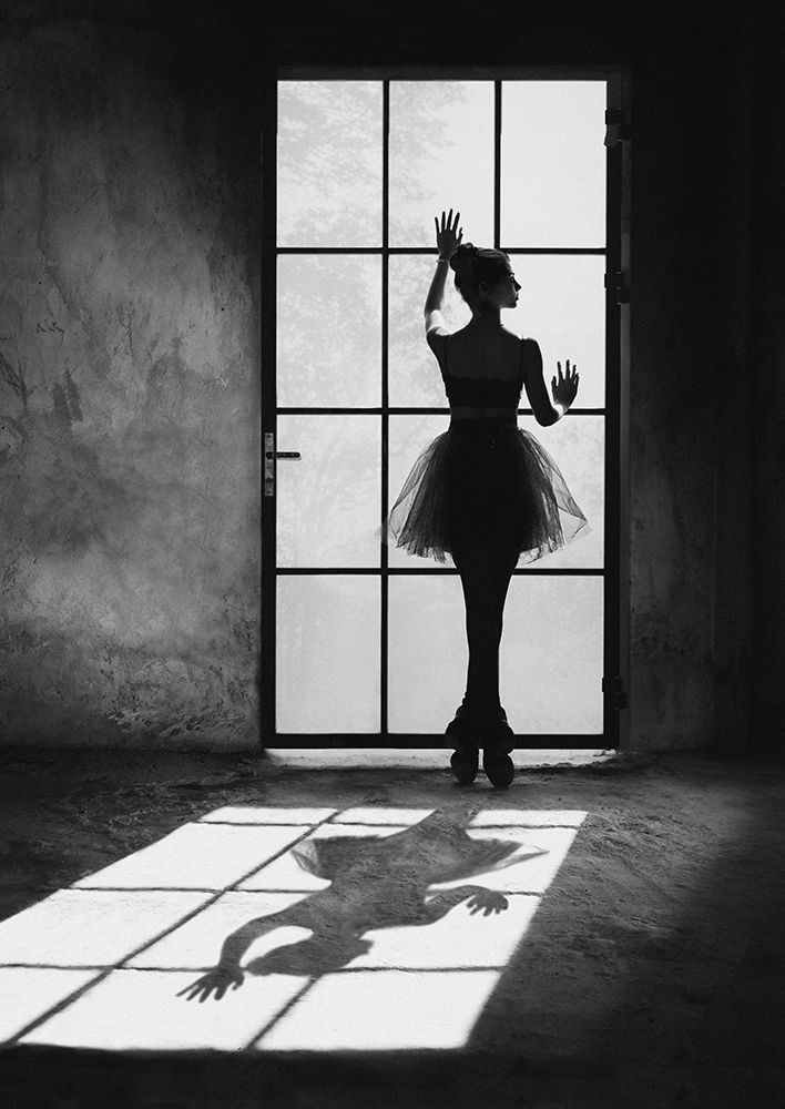Twilight Dancer art print by Julian Lauren for $57.95 CAD