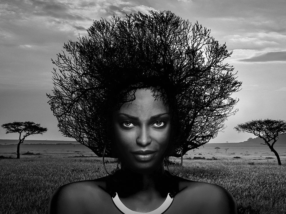 Serengeti Queen art print by Julian Lauren for $57.95 CAD