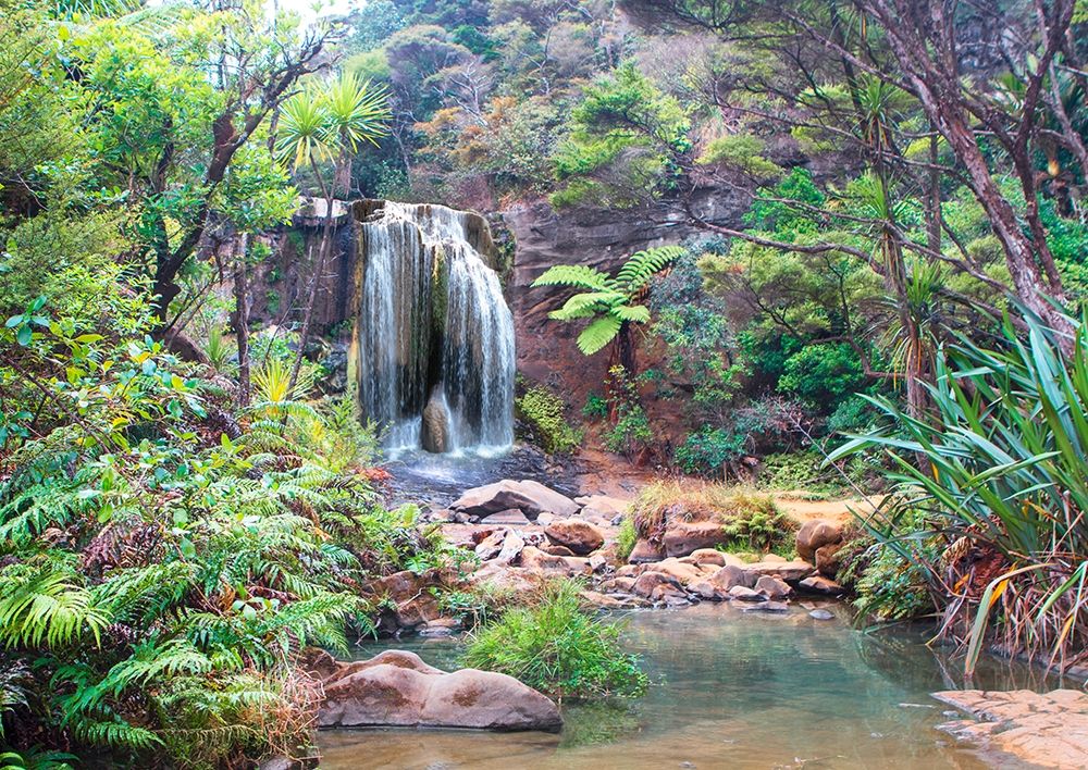 Rainforest waterfall - detail art print by Pangea Images for $57.95 CAD