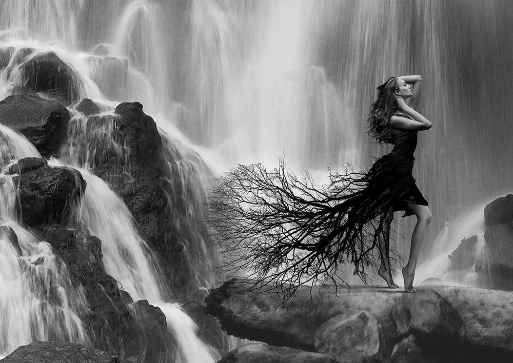 Natures Beauty art print by Julian Lauren for $57.95 CAD