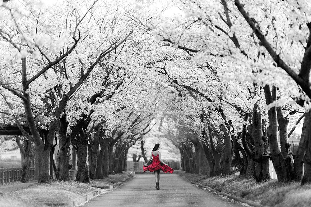 Sakura Girl art print by Haute Photo Collection for $57.95 CAD