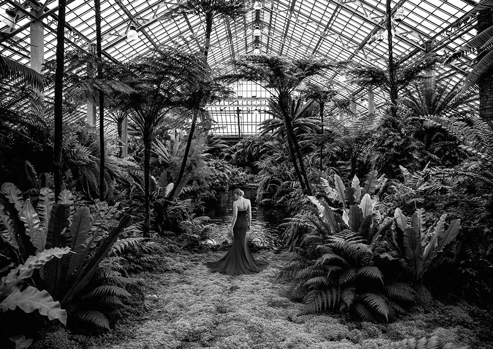 Unconventional Womenscape #2-Jardin dHiver (BW) art print by Julian Lauren for $57.95 CAD