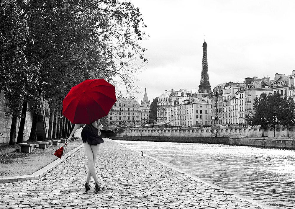 Quai de la Seine art print by Julian Lauren for $57.95 CAD