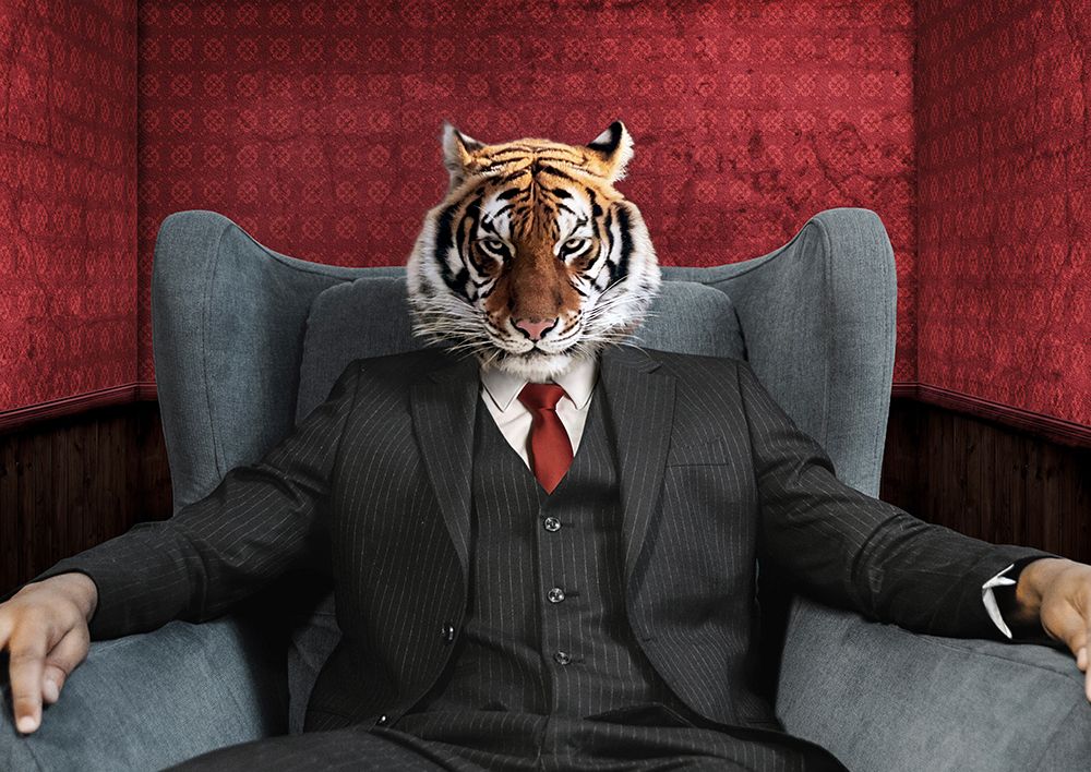 El Tigre art print by VizLab for $57.95 CAD