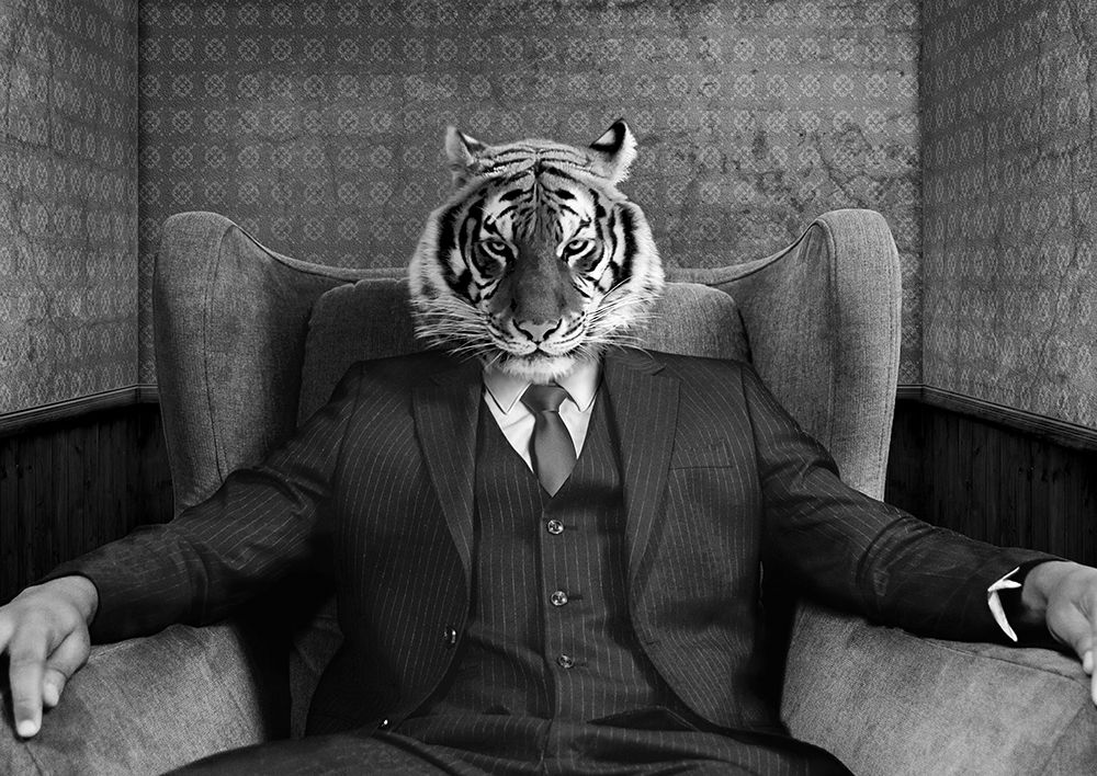 El Tigre (BAndW) art print by VizLab for $57.95 CAD