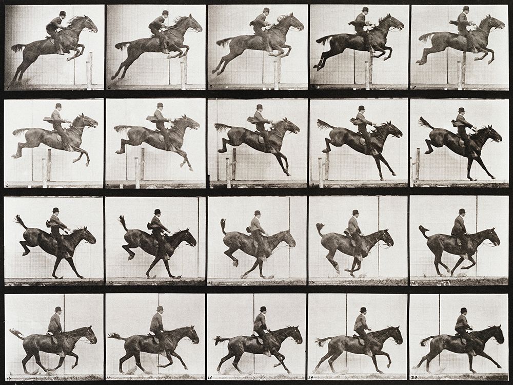 Animal Locomotion, Plate 637 art print by Eadweard Muybridge for $57.95 CAD