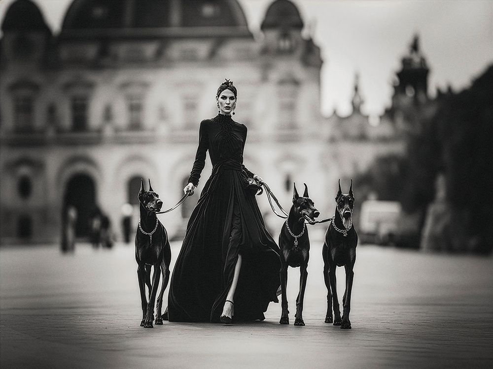 Lady of the Castle art print by Julian Lauren for $57.95 CAD