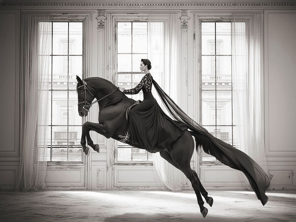 Dressage art print by Julian Lauren for $57.95 CAD