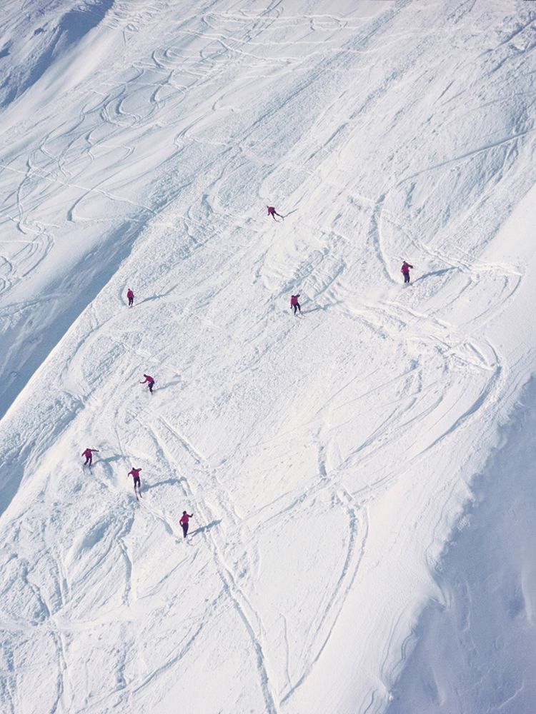 Skiing down the Mountain, Switzerland, 1954 (detail) art print by Toni Frissell for $57.95 CAD