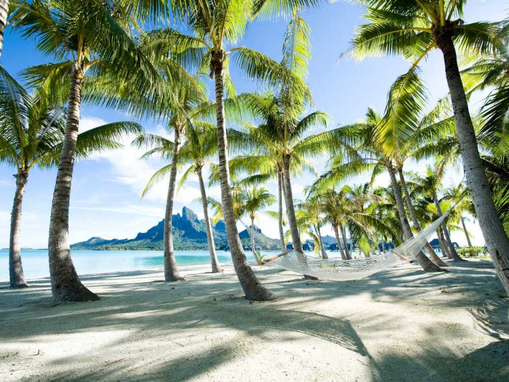 Hammock at Bora Bora Tahiti art print by Anonymous for $57.95 CAD