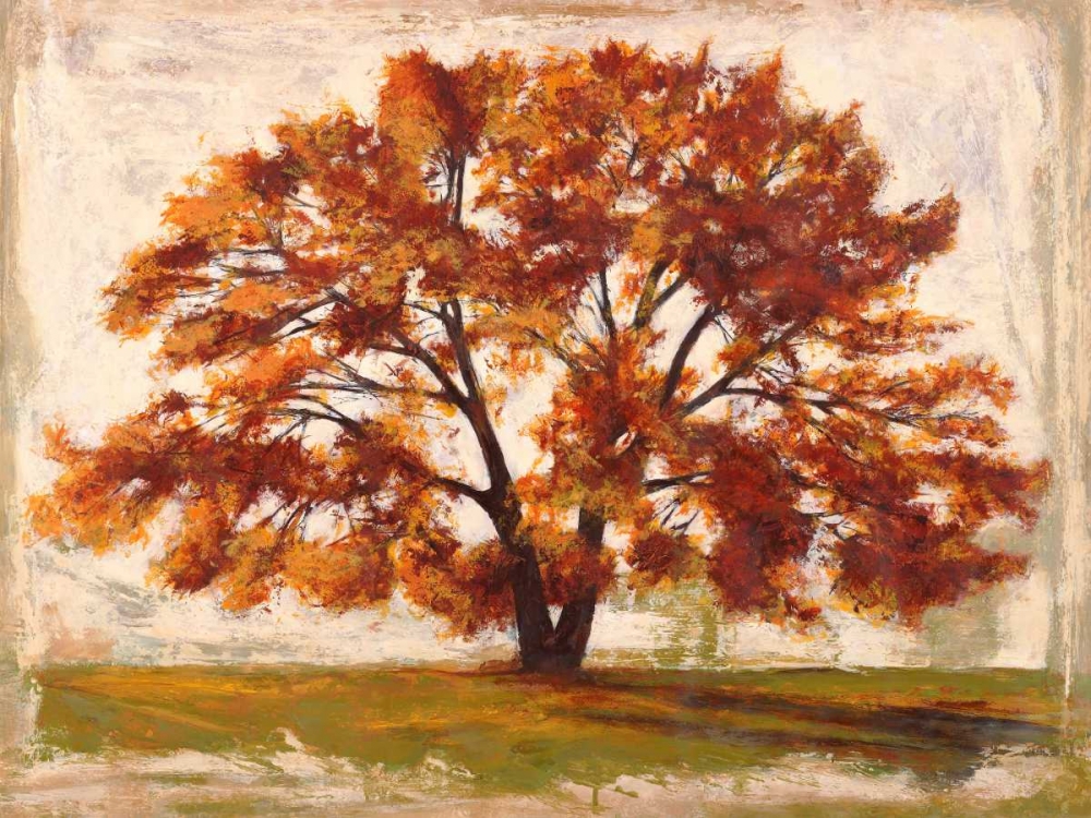 Mattino art print by Leonardo Bacci for $57.95 CAD