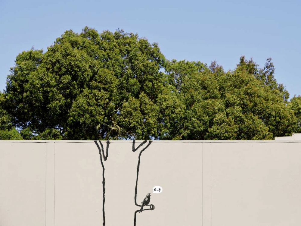 Near 14th Street, San Francisco (graffiti attributed to Banksy) art print by Anonymous (attributed to Banksy) for $57.95 CAD