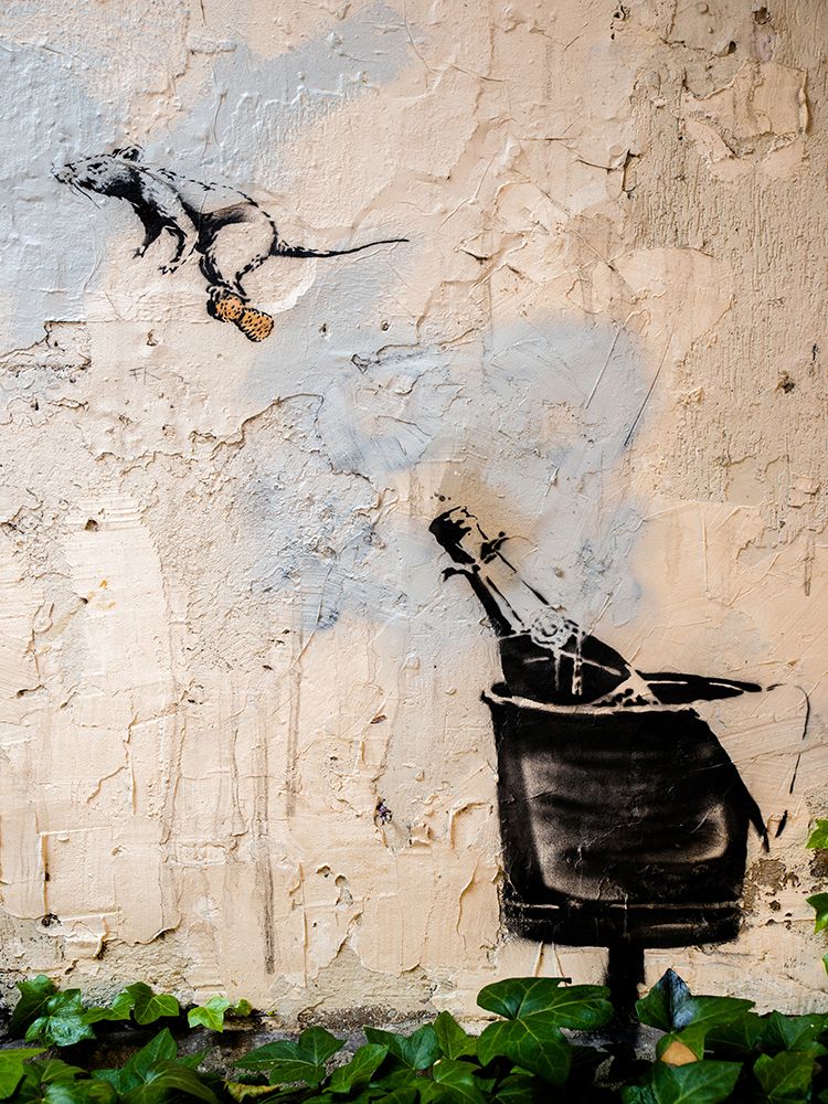 Rue des Hospitalieres Saint-Gervais, Paris art print by Anonymous (attributed to Banksy) for $57.95 CAD