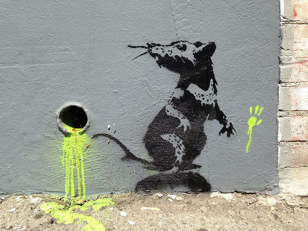 Orange Drive, Los Angeles art print by Anonymous (attributed to Banksy) for $57.95 CAD