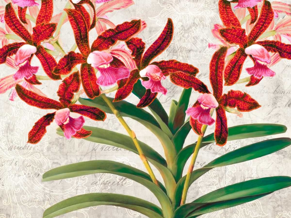 Botanique Moderne I art print by Remy Dellal for $57.95 CAD