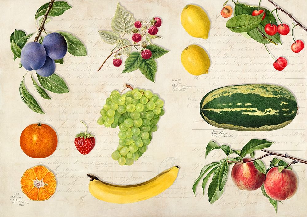 Fruits du Monde art print by Remy Dellal for $57.95 CAD