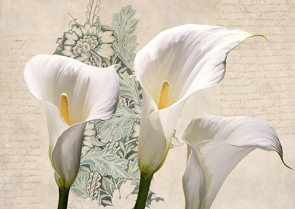 Three Callas art print by Elena Dolci for $57.95 CAD
