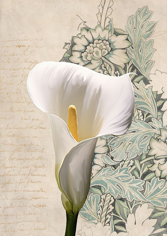 Calla I art print by Elena Dolci for $57.95 CAD