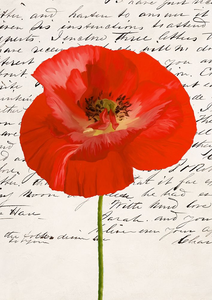 Poppy I art print by Elena Dolci for $57.95 CAD