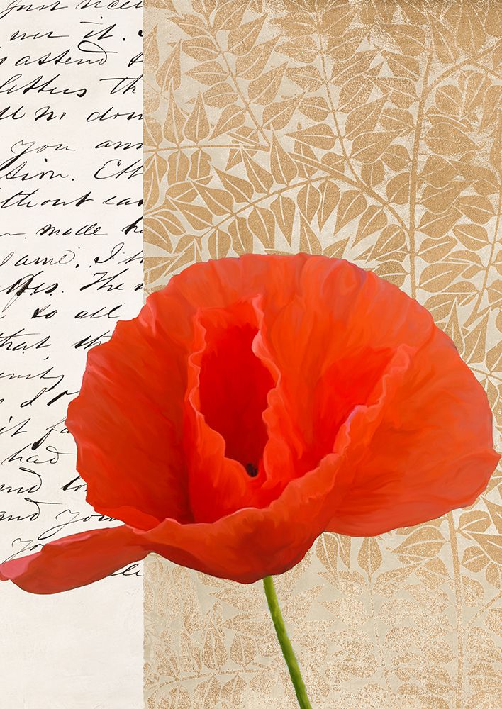 Poppy II art print by Elena Dolci for $57.95 CAD