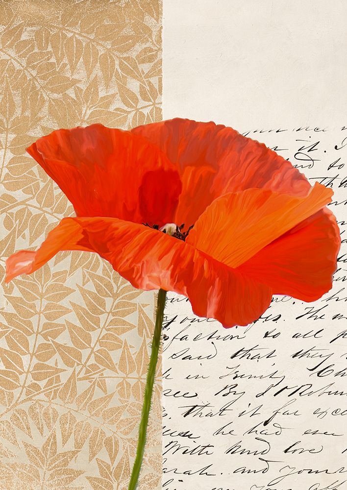 Poppy III art print by Elena Dolci for $57.95 CAD