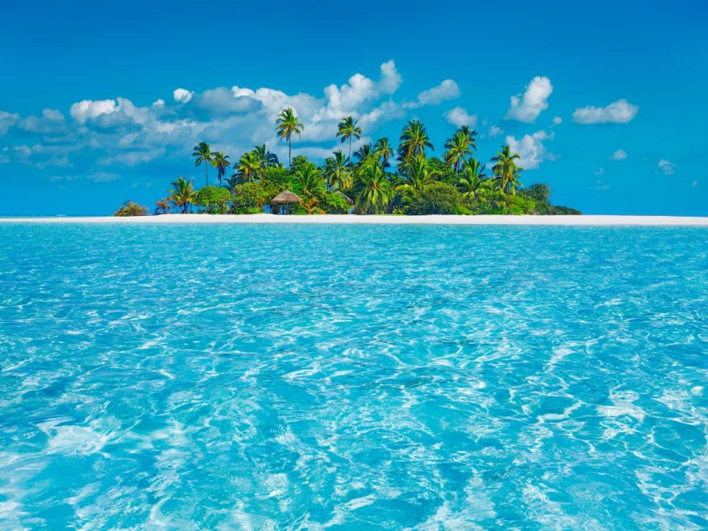 Tropical lagoon with palm island, Maldives art print by Frank Krahmer for $57.95 CAD