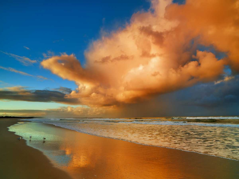 Sunset on the ocean, New South Wales, Australia art print by Frank Krahmer for $57.95 CAD