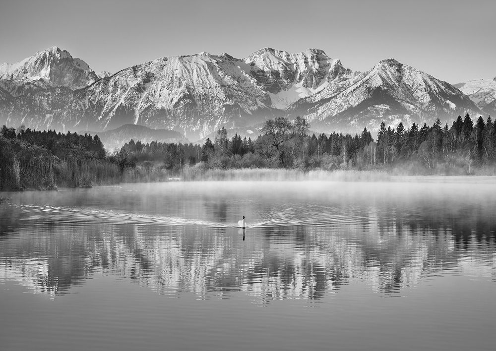 Allgaeu Alps and Hopfensee lake, Bavaria, Germany (BW) art print by Frank Krahmer for $57.95 CAD