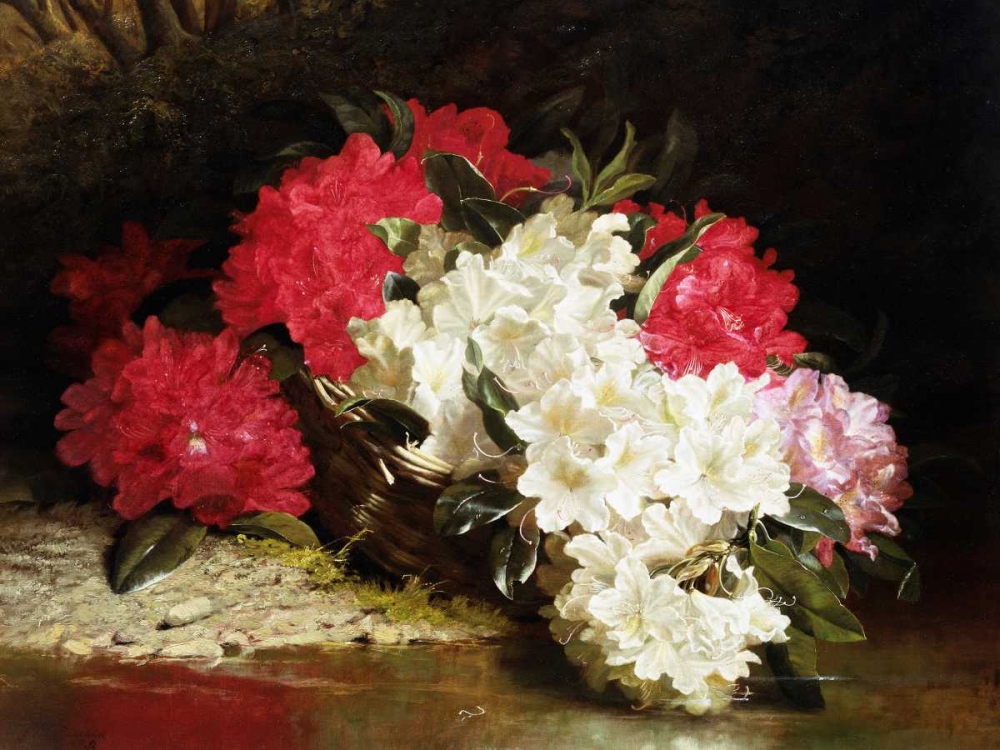 Azaleas art print by John Fitz Marshall for $57.95 CAD