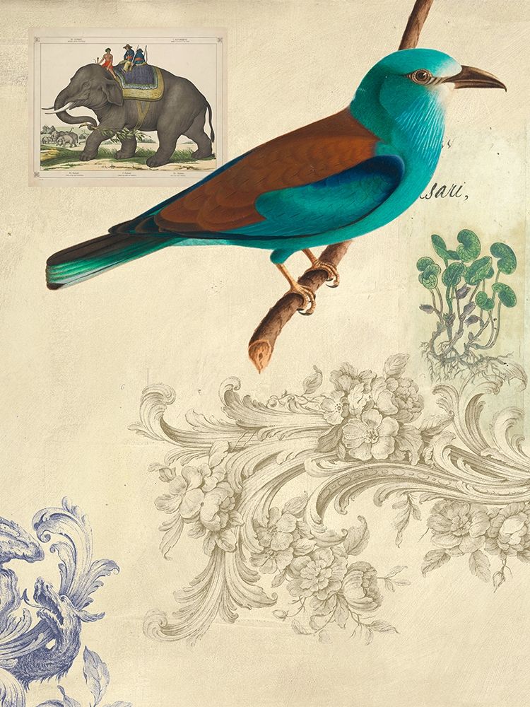 Cabinet of Curiosities n. 2 art print by Joannoo for $57.95 CAD