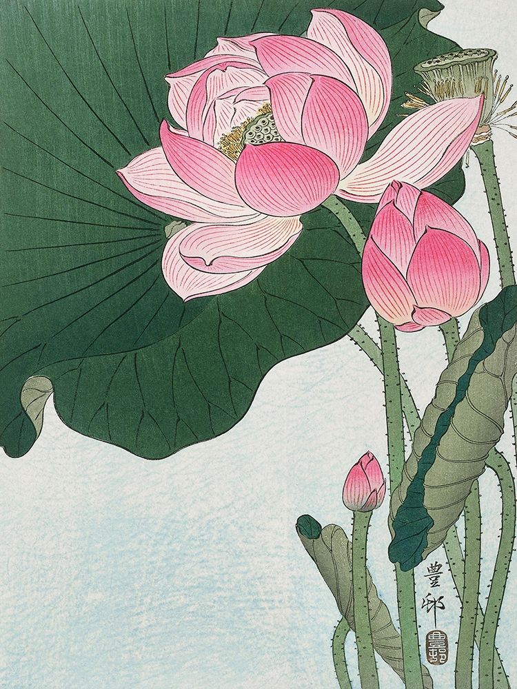 Blooming lotus flowers art print by Ohara Koson for $57.95 CAD