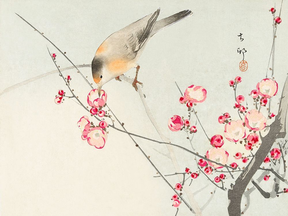 Songbird on blossom Branch art print by Ohara Koson for $57.95 CAD