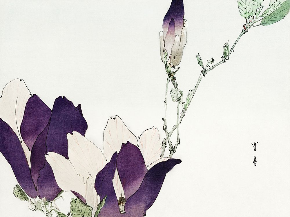 Purple magnolia, 1896 art print by Watanabe Seitei for $57.95 CAD