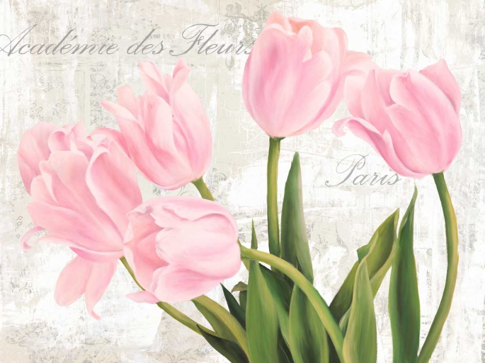 Academie des Fleurs art print by Jenny Thomlinson for $57.95 CAD
