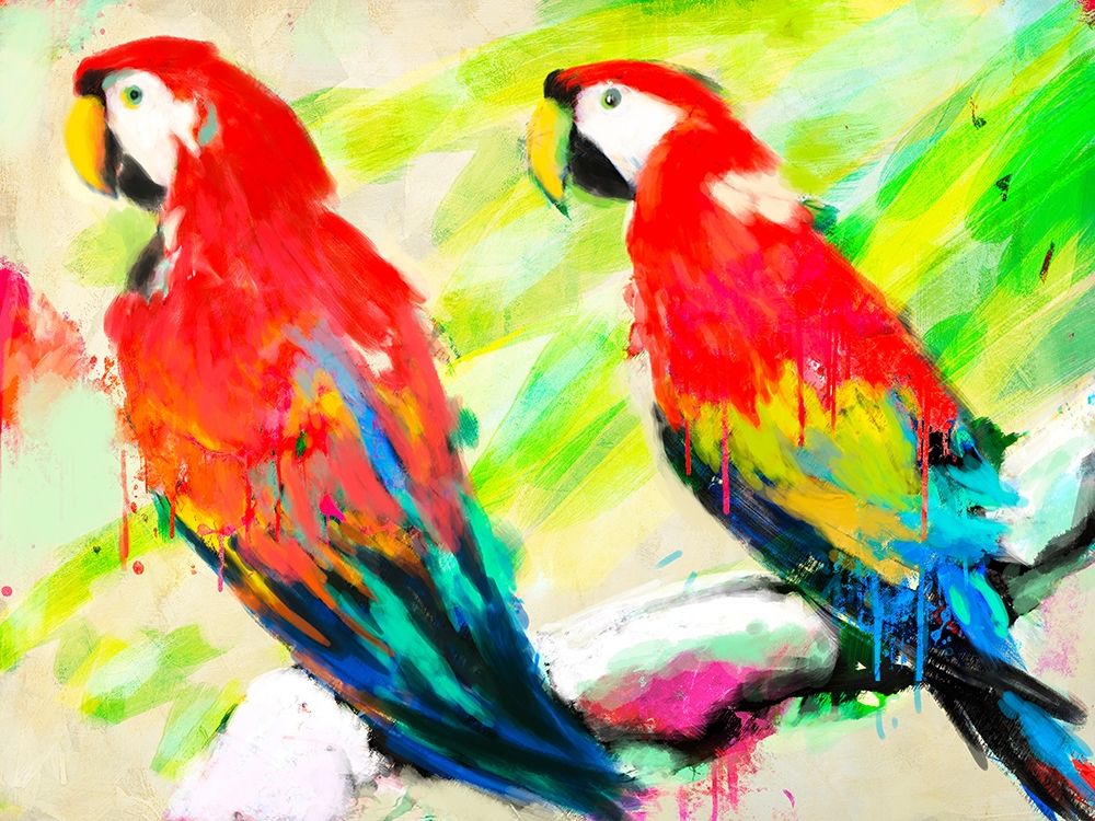 Ara Ara art print by Kelly Parr for $57.95 CAD