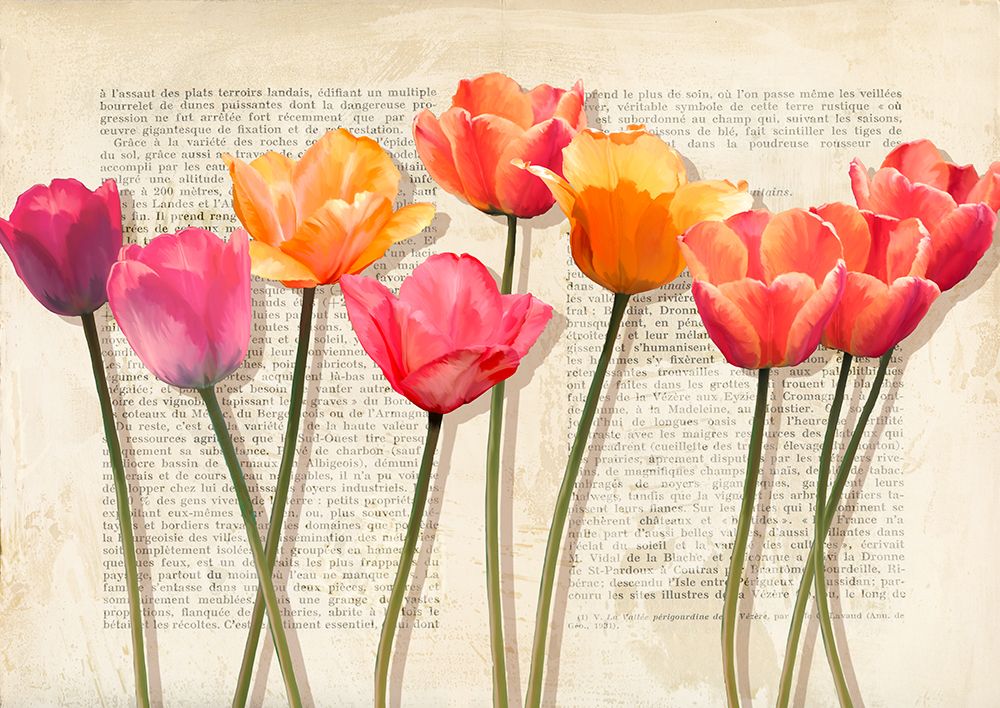 Fleurs et Histoires art print by Luca Villa for $57.95 CAD