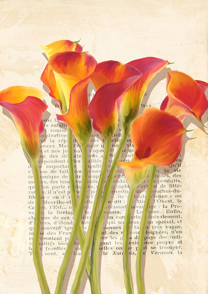 Callas et Histoires art print by Luca Villa for $57.95 CAD